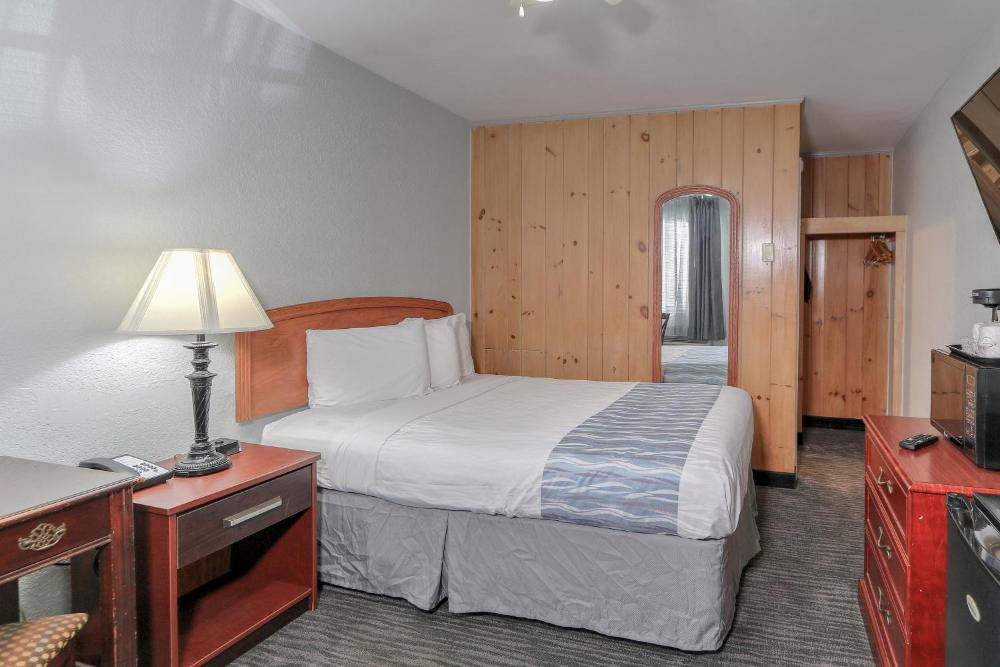Single Queen Room interior